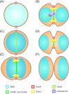 Figure 11.