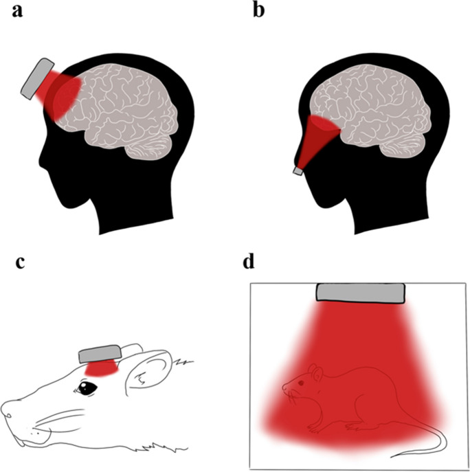 Fig. 2