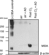 Figure 10.
