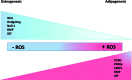 <b>FIG. 4.</b>