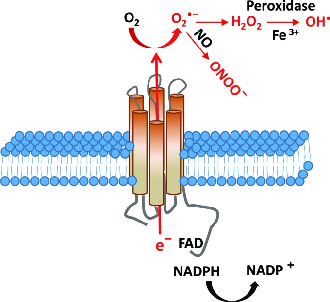 FIG. 3.