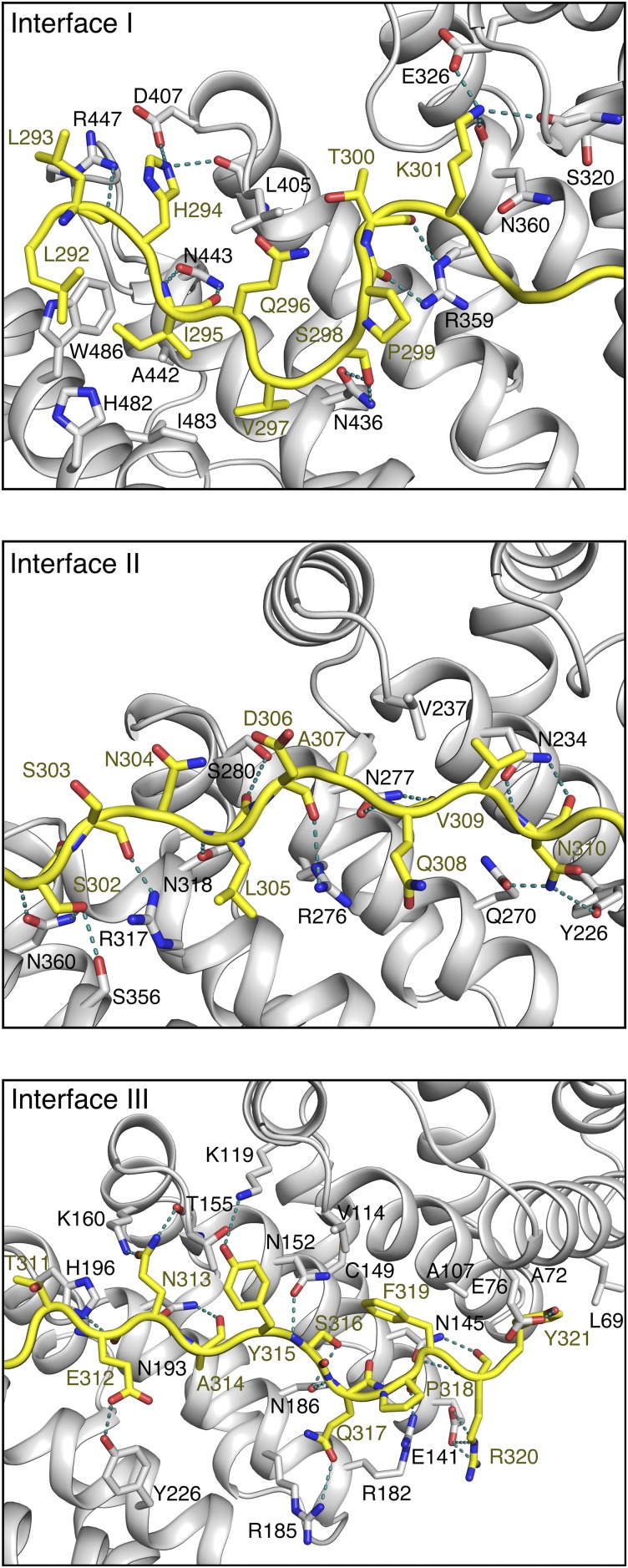 Fig. S3.