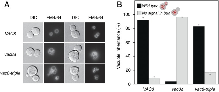 Fig. S6.