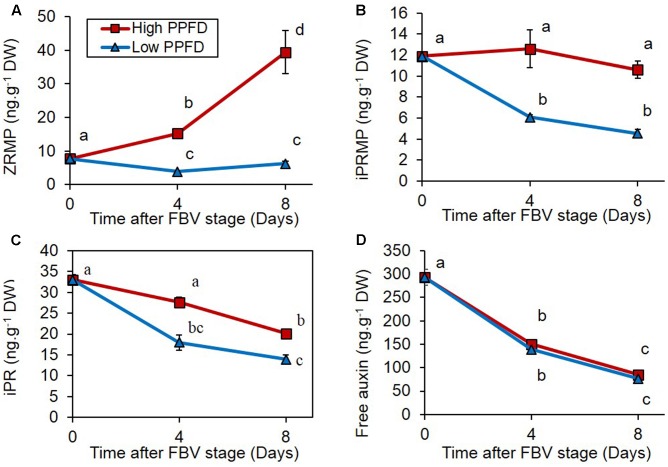 FIGURE 4