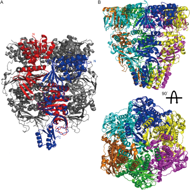 Figure 3.