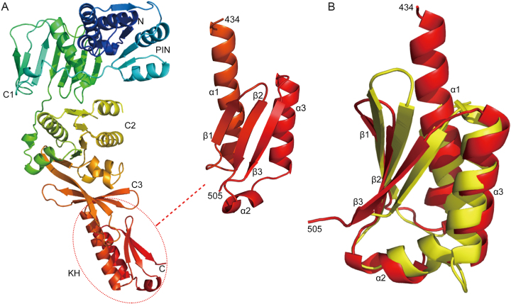 Figure 2.