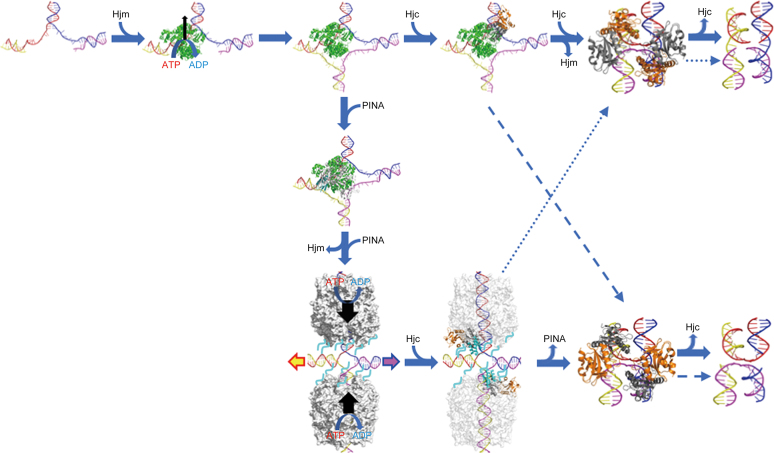 Figure 11.