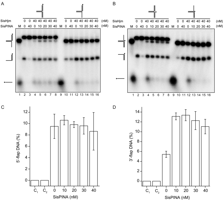 Figure 7.