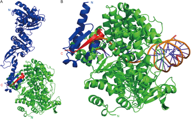 Figure 5.