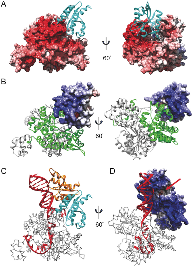 Figure 10.