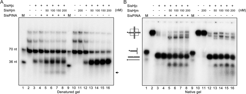 Figure 9.