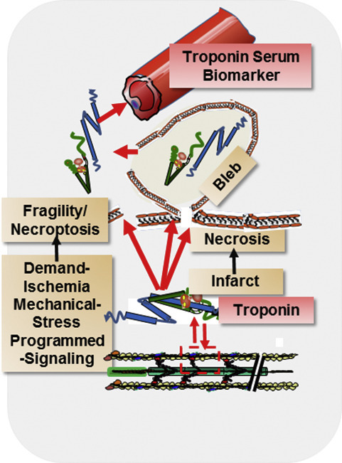 Unlabelled Image