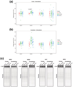 graphic file with name PHY2-10-e15542-g004.jpg