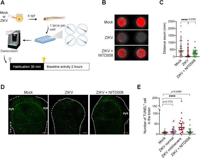 Fig 3