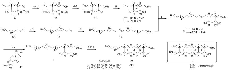 Scheme 2