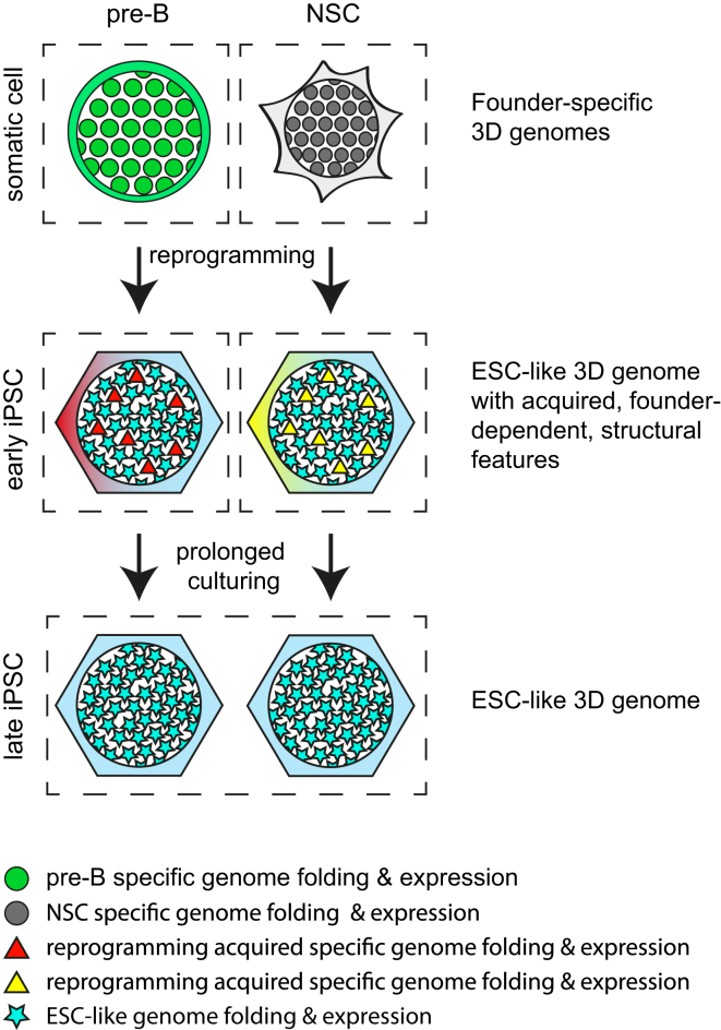 Figure 7