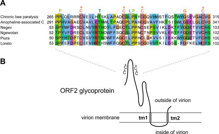 FIG 3