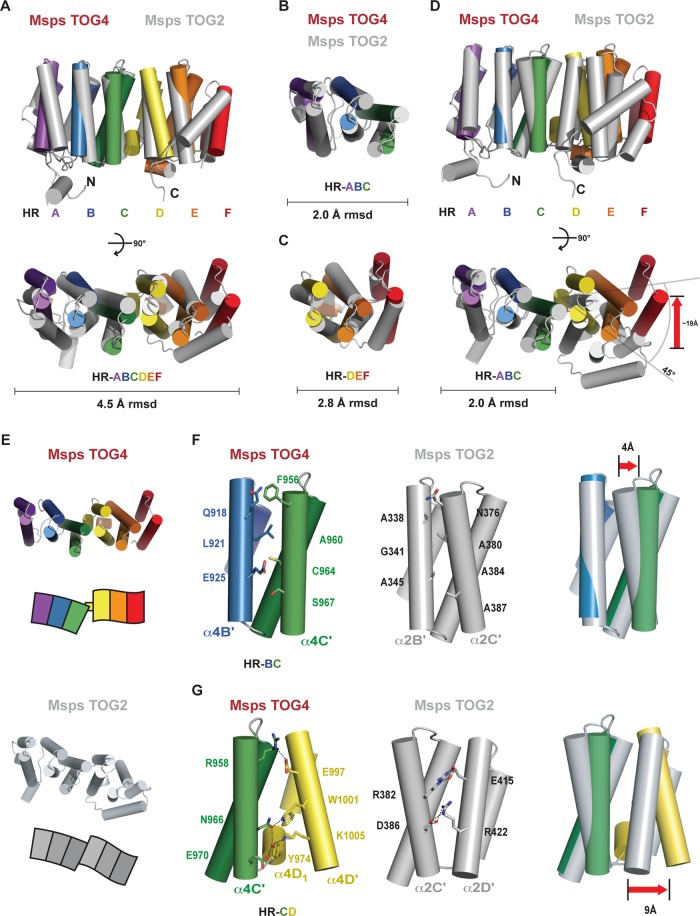 FIGURE 4: