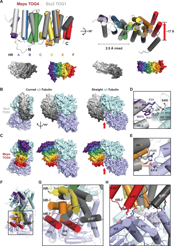 FIGURE 5: