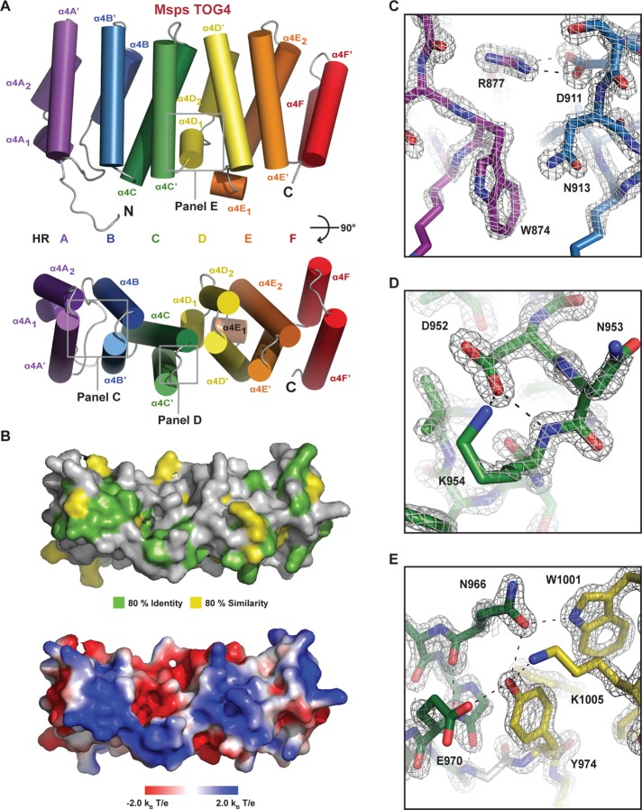 FIGURE 2: