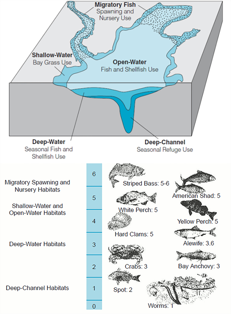 FIGURE 2 |