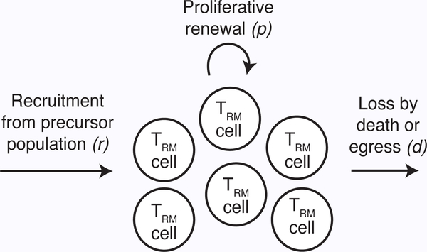 Figure 1 –