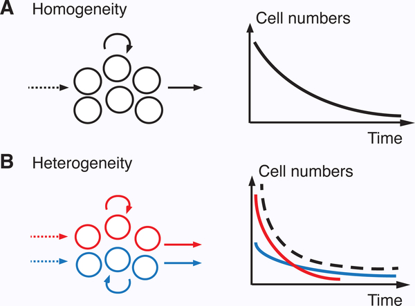 Figure 2 –