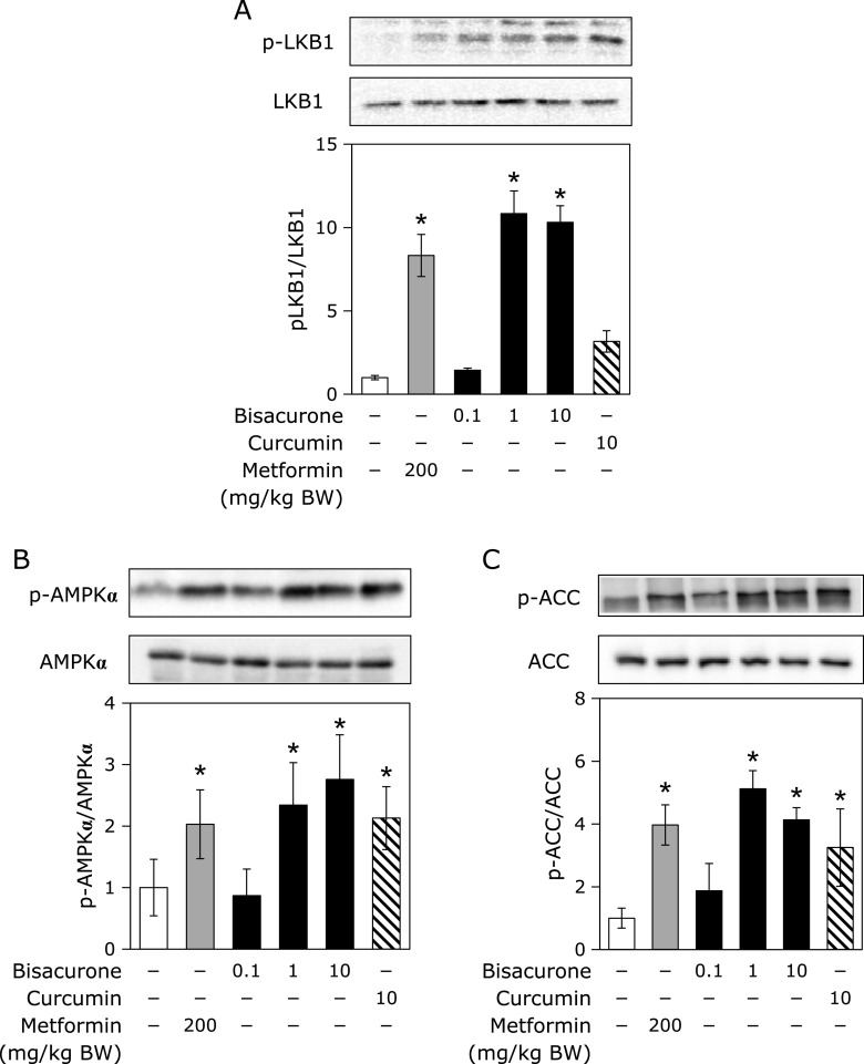 Fig. 7