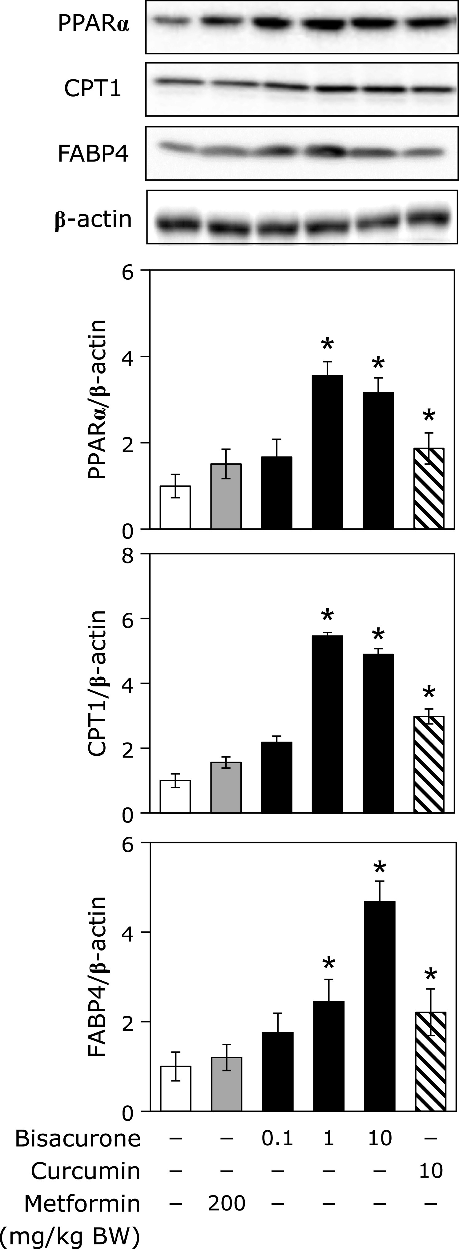 Fig. 9