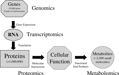 Figure 1