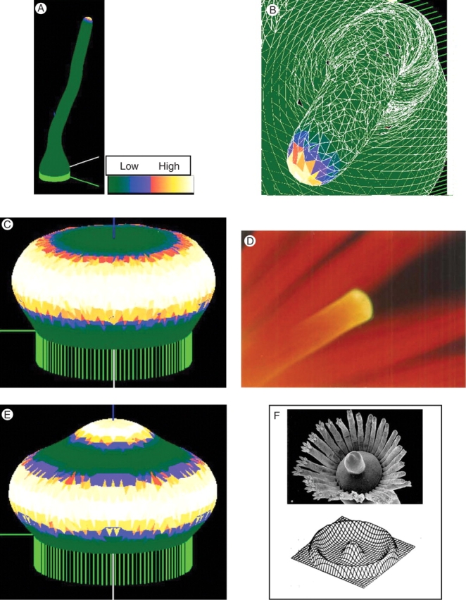 Fig. 4.