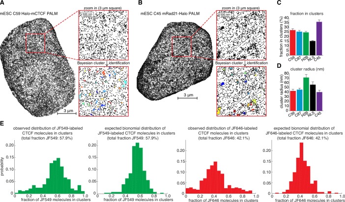 Figure 4—figure supplement 1.