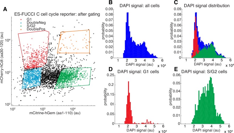 Figure 2—figure supplement 4.