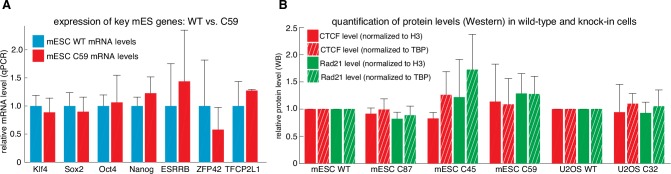 Figure 1—figure supplement 3.