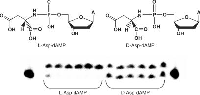 Figure 11.