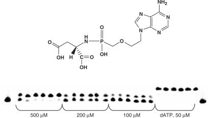 Figure 12.