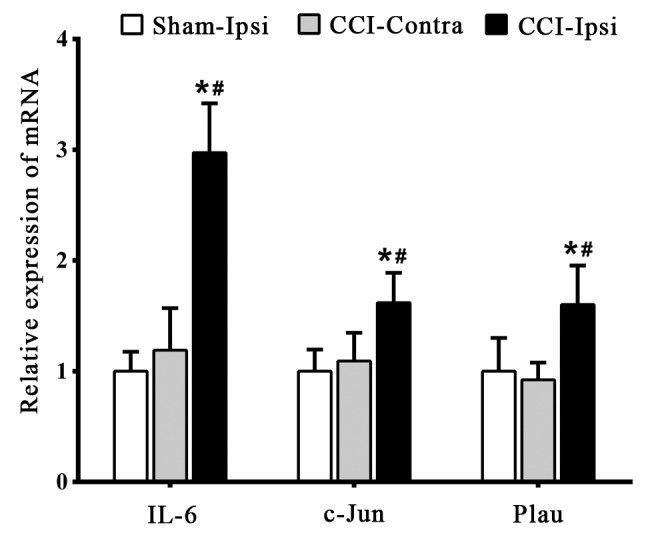 Figure 4.