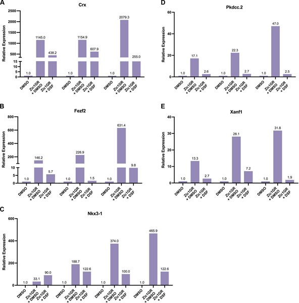 Figure 3: