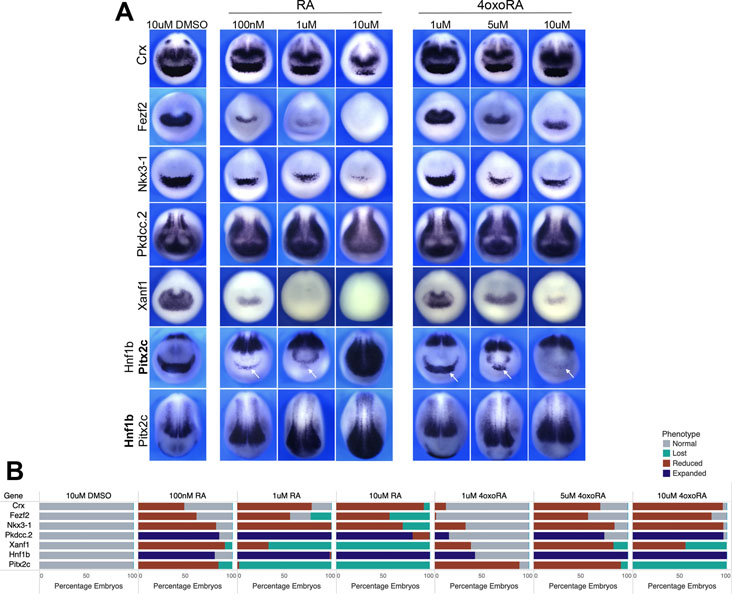 Figure 5: