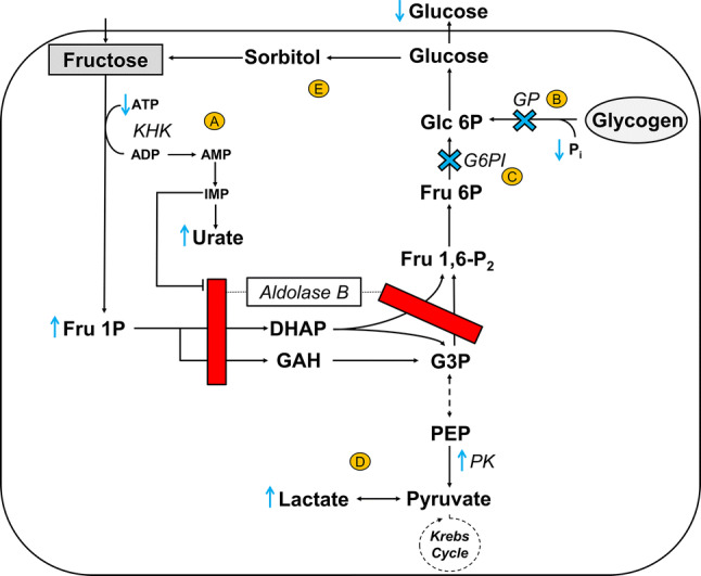 Fig. 1