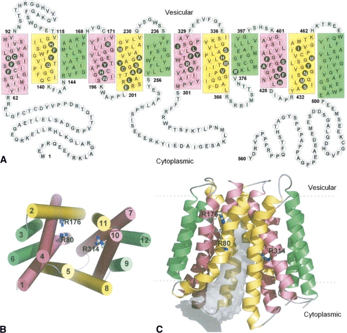 Figure 2.