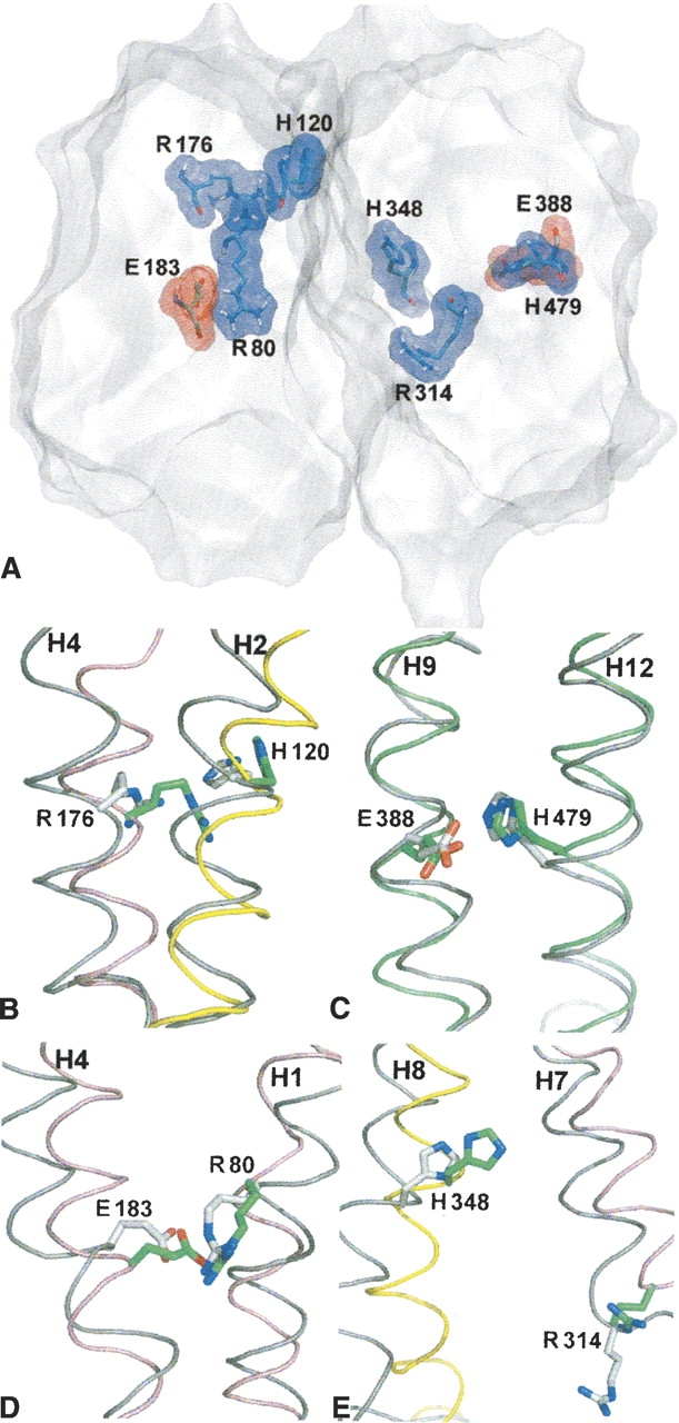 Figure 4.