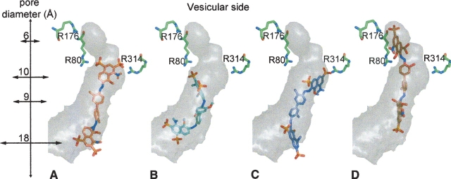 Figure 5.