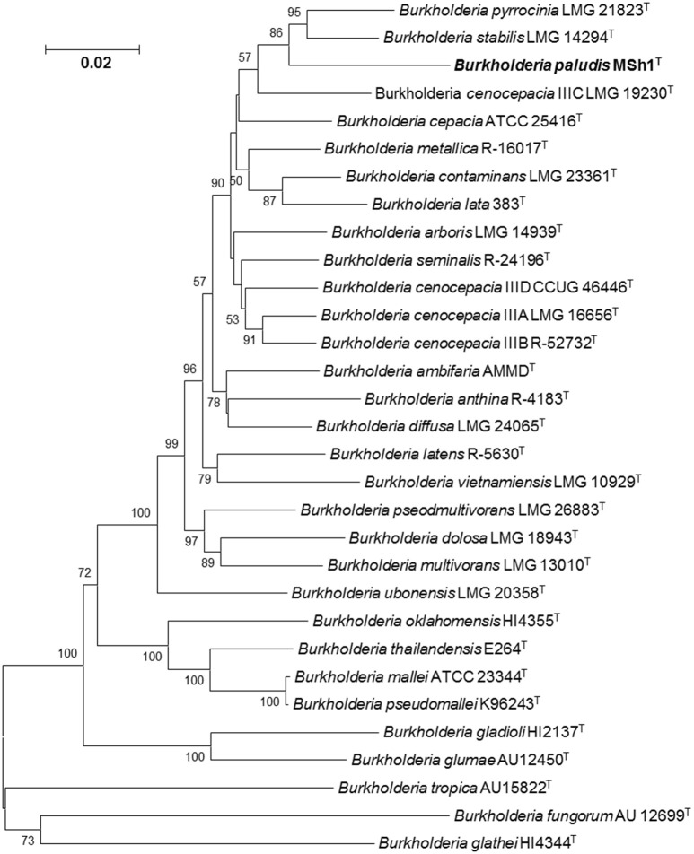 Figure 2