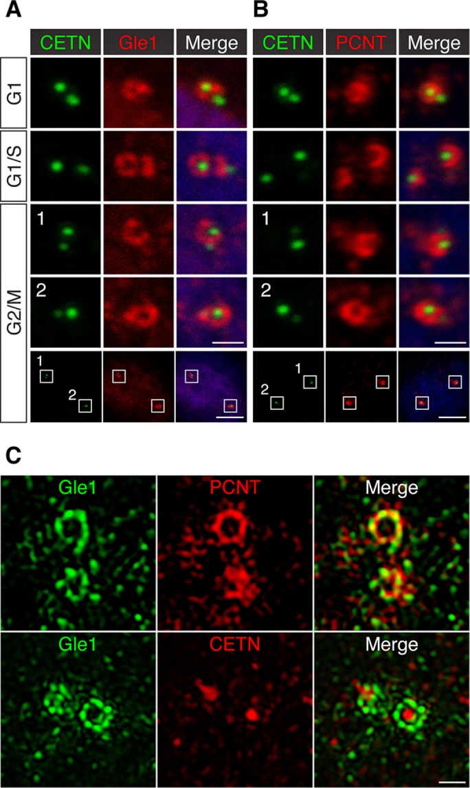 FIGURE 2: