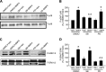 <i>Figure 2.</i>