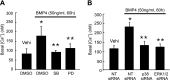 <i>Figure 6.</i>