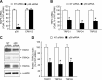 <i>Figure 4.</i>