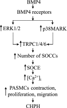 <i>Figure 7.</i>