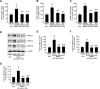 <i>Figure 3.</i>